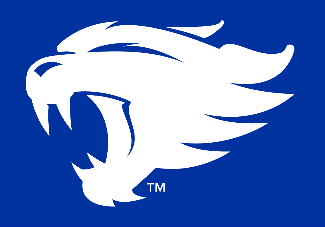 Kentucky Wildcats 2016-Pres Alternate Logo fabric transfers 2